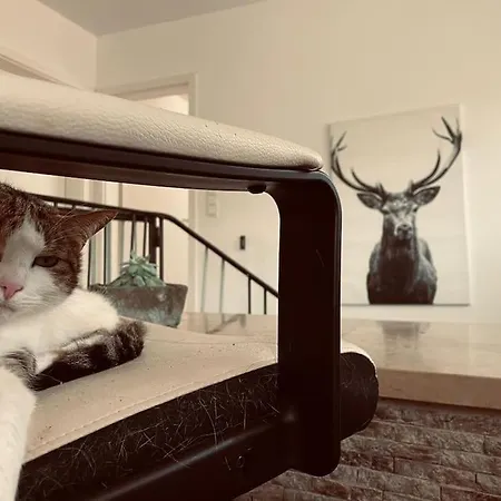 Appartement Beas Gastehaus Hygge: Moderne Mit Aussicht *